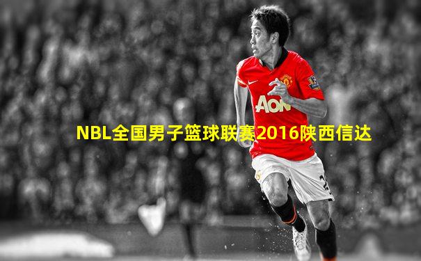 NBL全国男子篮球联赛2016陕西信达