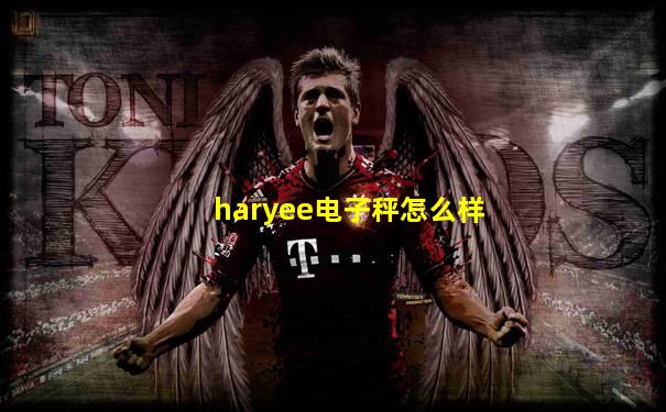 haryee电子秤怎么样