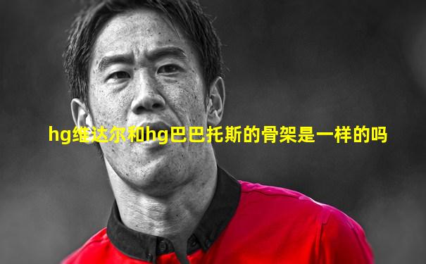 hg维达尔和hg巴巴托斯的骨架是一样的吗