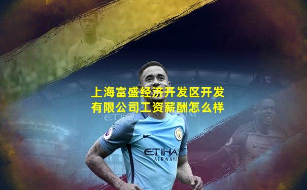 上海富盛经济开发区开发有限公司工资薪酬怎么样