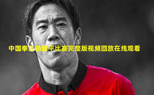中国拳王杨健平比赛完整版视频回放在线观看