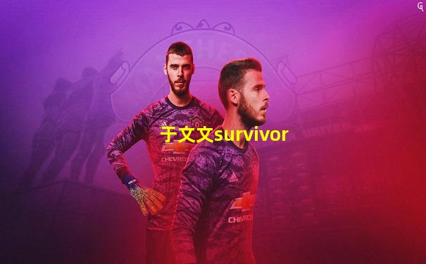 于文文survivor