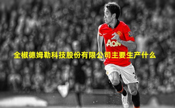 全椒德姆勒科技股份有限公司主要生产什么