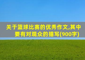 关于篮球比赛的优秀作文,其中要有对观众的描写(900字)