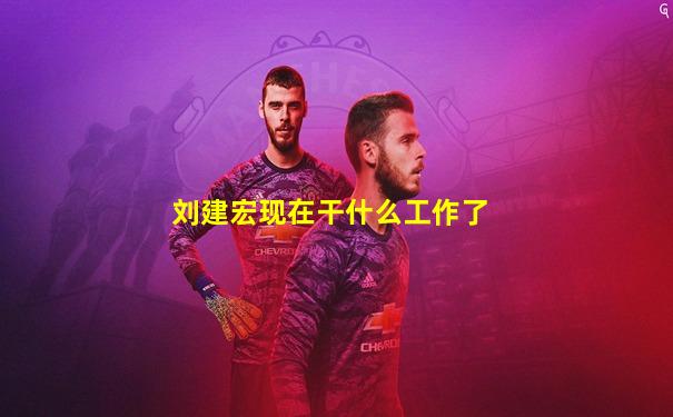刘建宏现在干什么工作了
