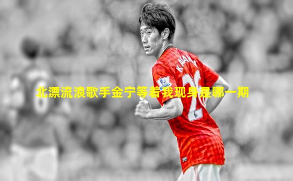北漂流浪歌手金宁等着我现身是哪一期