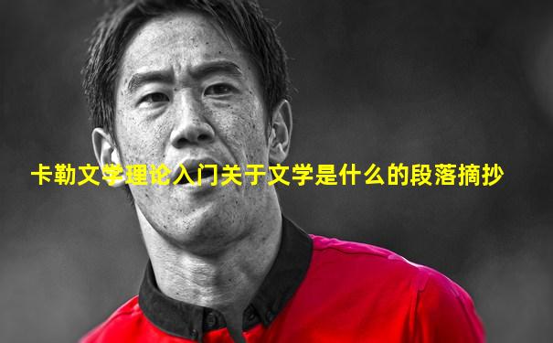 卡勒文学理论入门关于文学是什么的段落摘抄