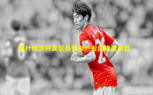 喀什经济开发区岳普湖产业园建设项目