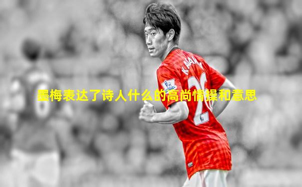 墨梅表达了诗人什么的高尚情操和意思