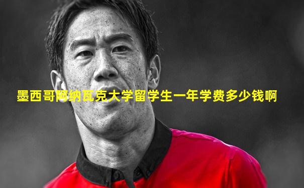 墨西哥阿纳瓦克大学留学生一年学费多少钱啊