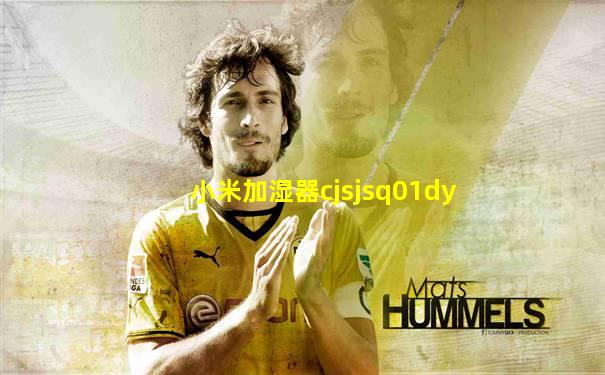 小米加湿器cjsjsq01dy
