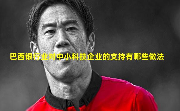 巴西银行业对中小科技企业的支持有哪些做法