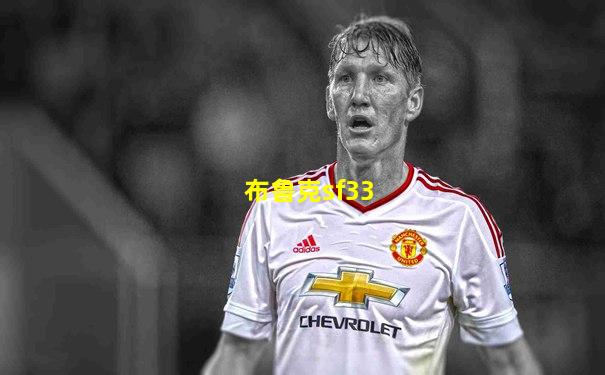 布鲁克sf33