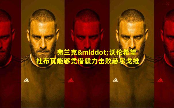 弗兰克·沃伦希望杜布瓦能够凭借毅力击败赫尔戈维奇