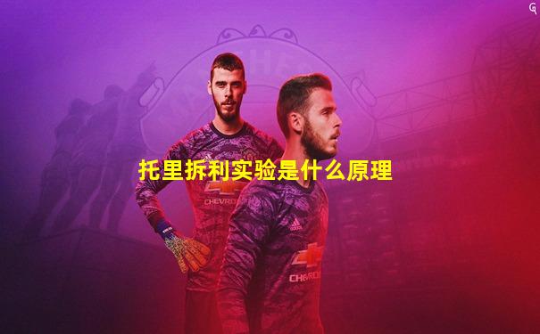 托里拆利实验是什么原理