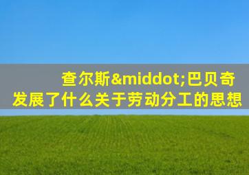 查尔斯·巴贝奇发展了什么关于劳动分工的思想