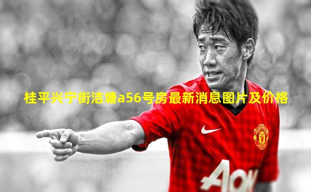 桂平兴宁街洁塘a56号房最新消息图片及价格
