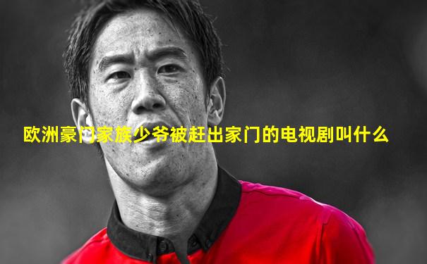 欧洲豪门家族少爷被赶出家门的电视剧叫什么