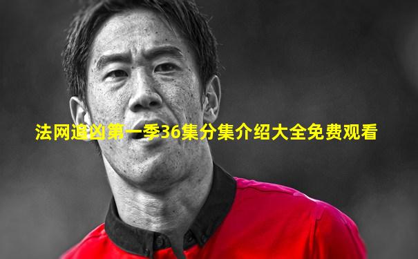 法网追凶第一季36集分集介绍大全免费观看