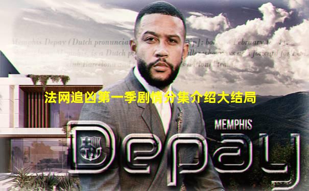 法网追凶第一季剧情分集介绍大结局