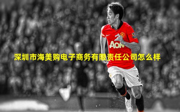深圳市海美购电子商务有限责任公司怎么样