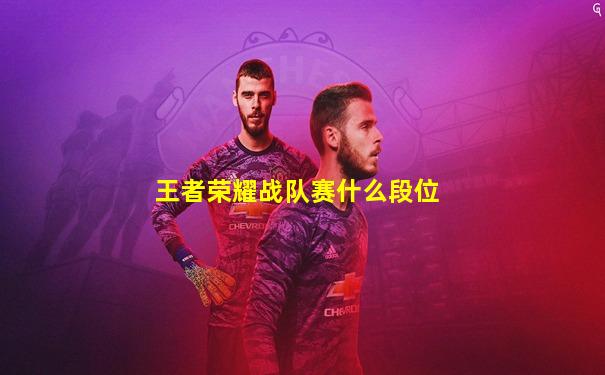 王者荣耀战队赛什么段位