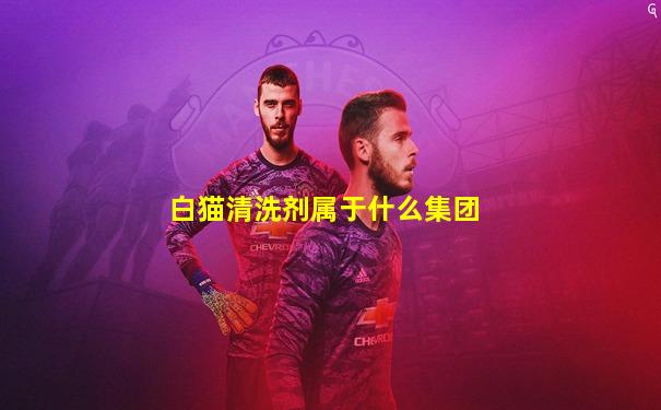 白猫清洗剂属于什么集团