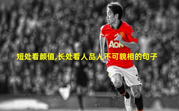 短处看颜值,长处看人品人不可貌相的句子