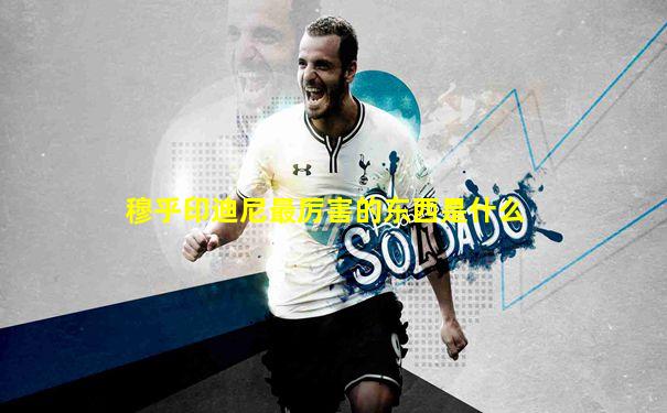 穆乎印迪尼最厉害的东西是什么
