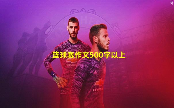 篮球赛作文500字以上