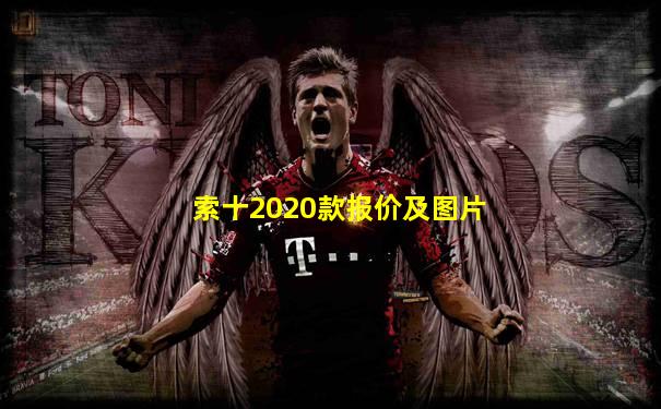 索十2020款报价及图片