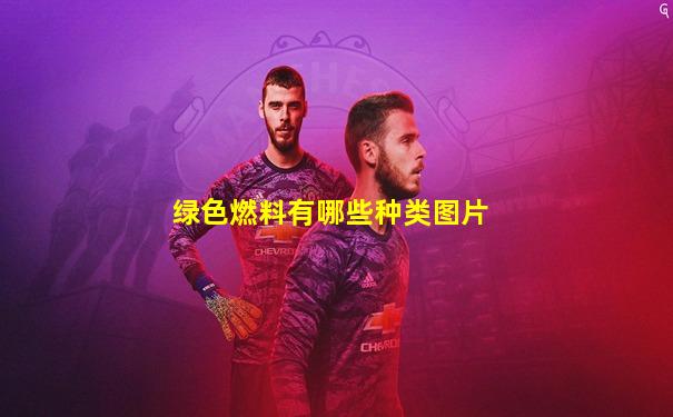 绿色燃料有哪些种类图片