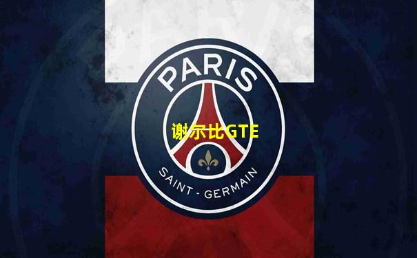 谢尔比GTE