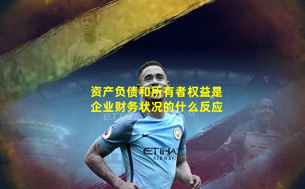 资产负债和所有者权益是企业财务状况的什么反应