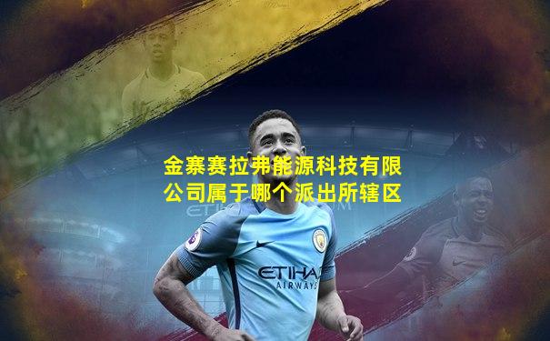 金寨赛拉弗能源科技有限公司属于哪个派出所辖区