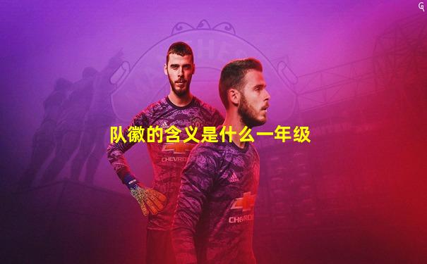 队徽的含义是什么一年级