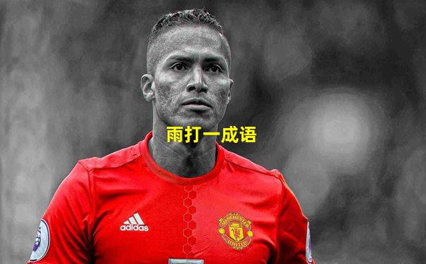 雨打一成语