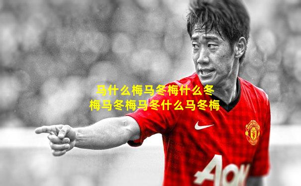马什么梅马冬梅什么冬梅马冬梅马冬什么马冬梅