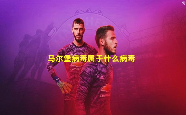 马尔堡病毒属于什么病毒
