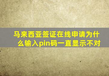 马来西亚签证在线申请为什么输入pin码一直显示不对