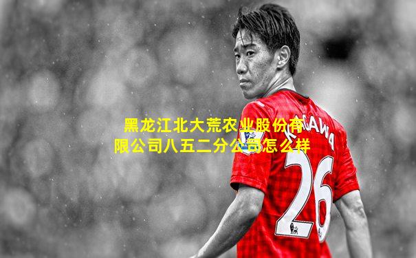 黑龙江北大荒农业股份有限公司八五二分公司怎么样