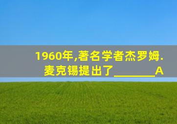 1960年,著名学者杰罗姆.麦克锡提出了_______A