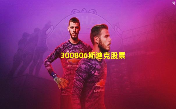 300806斯迪克股票