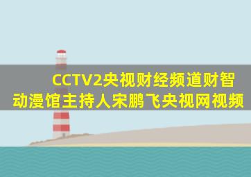 CCTV2央视财经频道财智动漫馆主持人宋鹏飞央视网视频