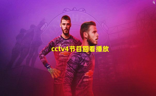 cctv4节目回看播放