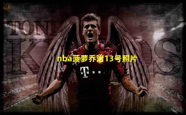 nba菠萝乔治13号照片
