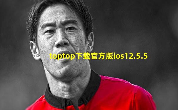 toptop下载官方版ios12.5.5