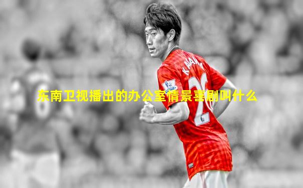 东南卫视播出的办公室情景喜剧叫什么