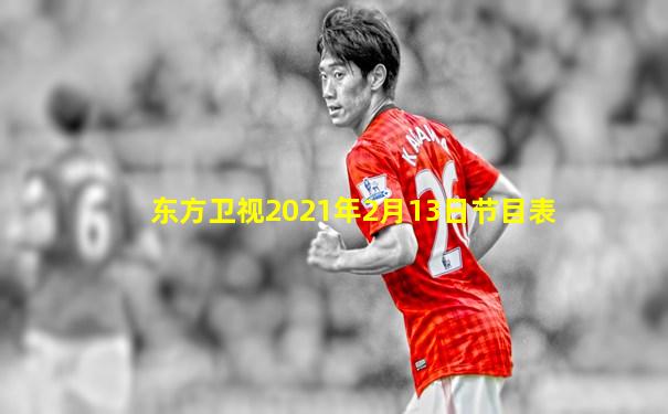 东方卫视2021年2月13日节目表