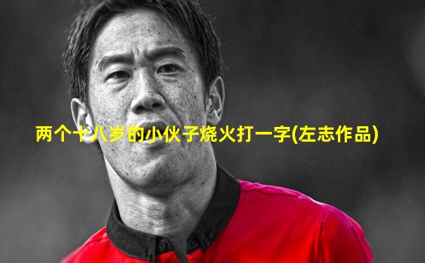 两个十八岁的小伙子烧火打一字(左志作品)